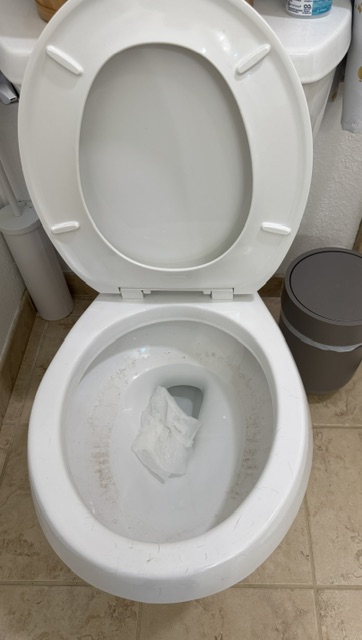 Toilet before cleaning