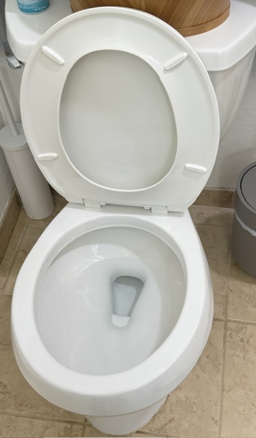 Toilet after cleaning